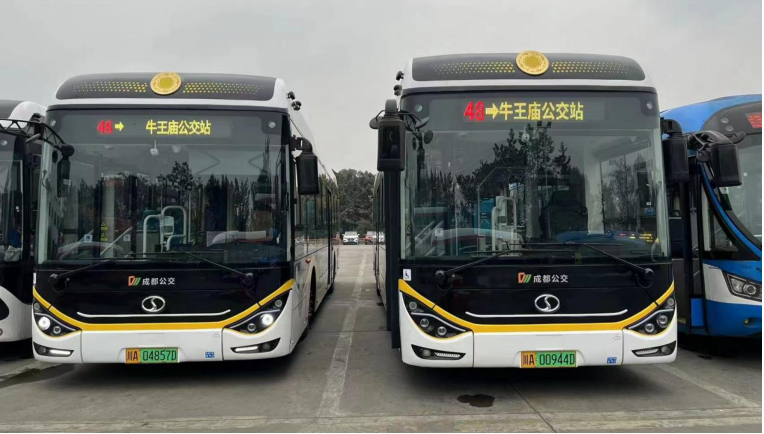 公交全彩线路牌
